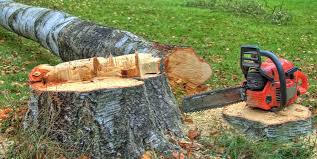 Best Firewood Processing and Delivery  in The Homesteads, TX