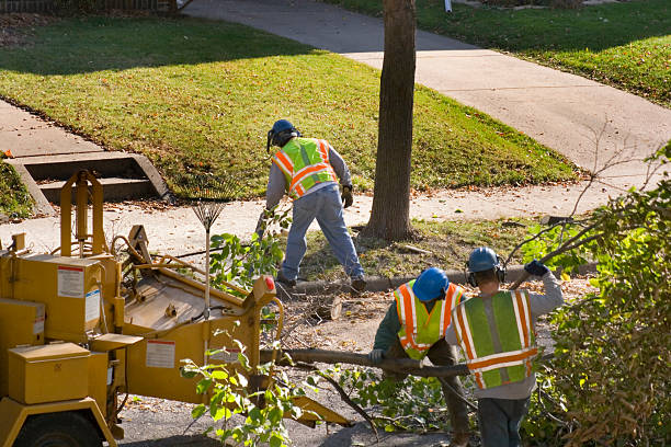 Best Commercial Tree Services  in The Homesteads, TX